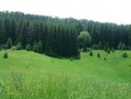 /album/kepgaleria-lillafured-bankut-lillafured/a2011-06-05-12-30-33-resize-jpg/